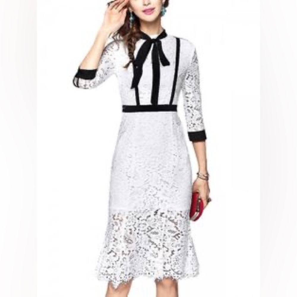 Chic Long Sleeve Lace Dress with Black Trim